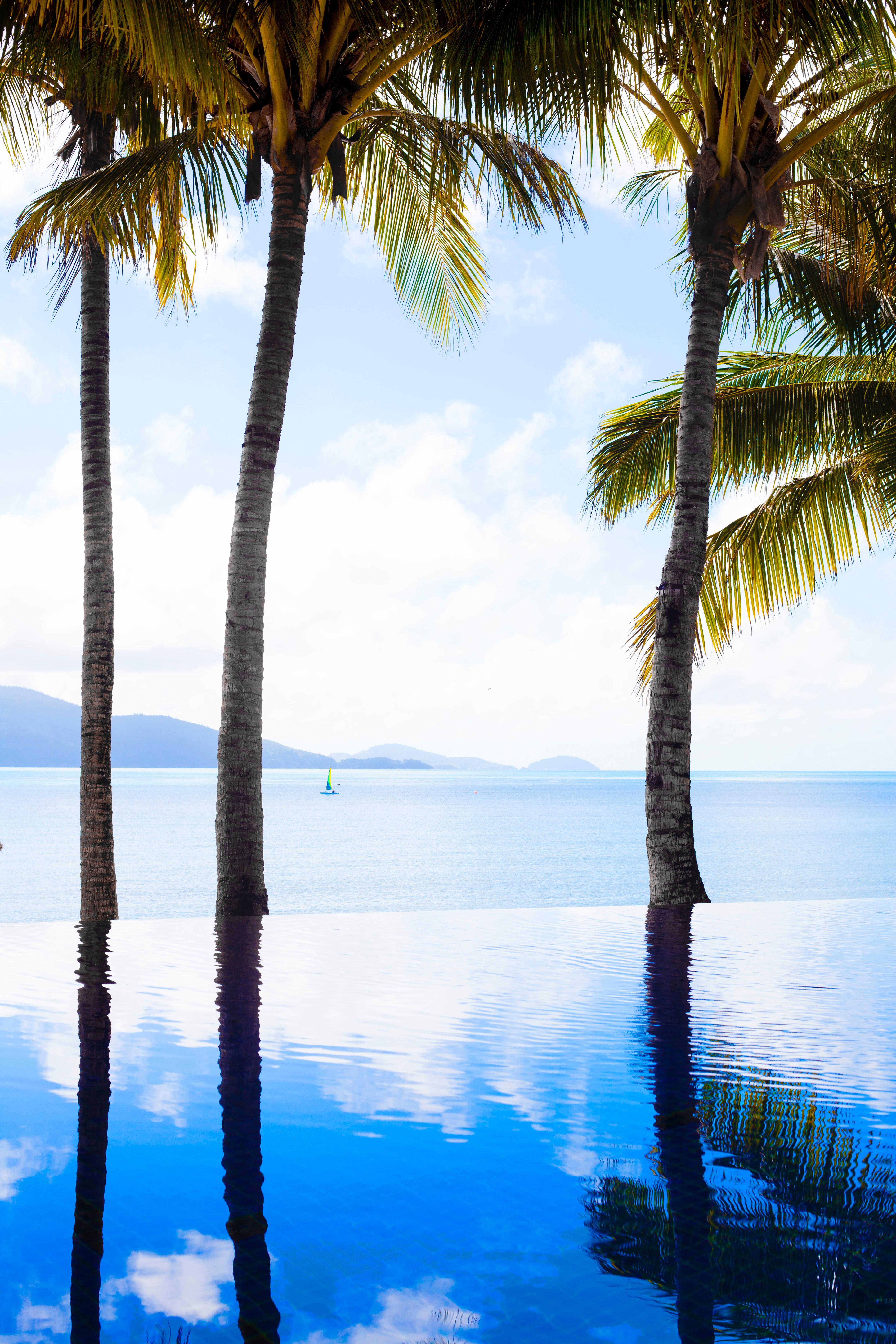 Beach Club (Adults Only) Hamilton Island Kültér fotó